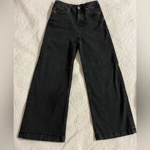 EUC Paige Anessa high waist ankle wide leg jean.